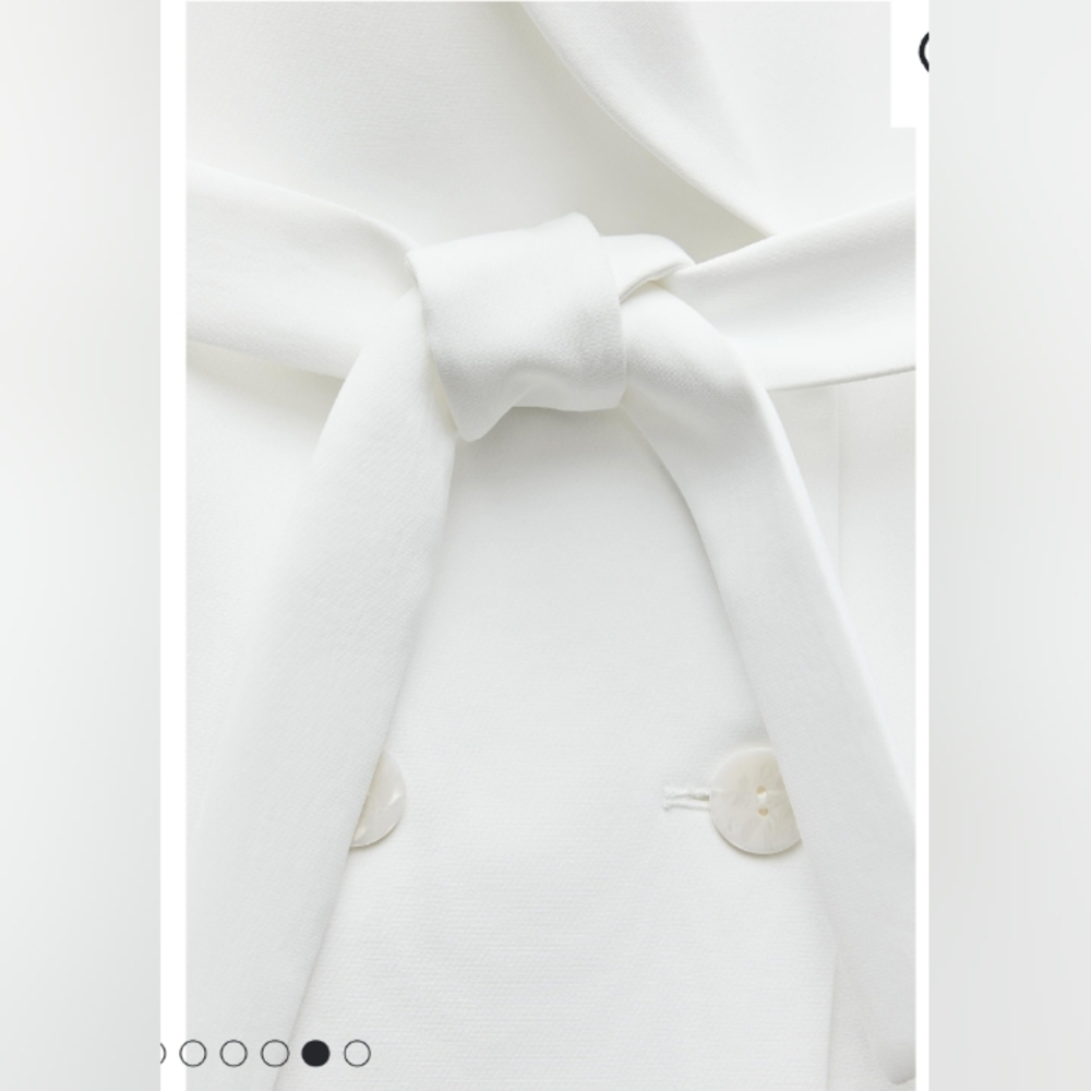 Zara Long Double Breasted Vest - Picture 5 of 5